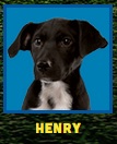 henry