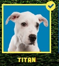 titan