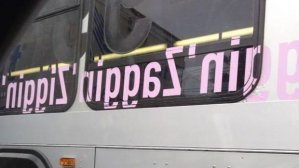 11351351_491583784340795_9166297040948392621_n