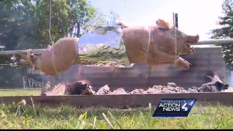 Steelers_fans_come_from_far_and_wide_for_2015_training_camp (4)